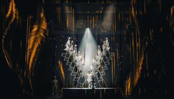 Спектакль «Лебедь»