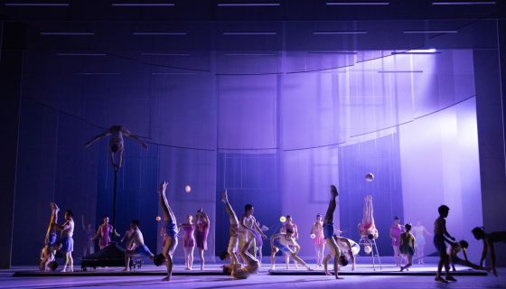 Спектакль «Лебедь»