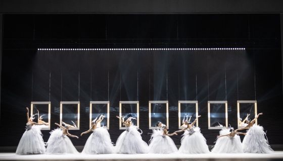 Спектакль «Лебедь»