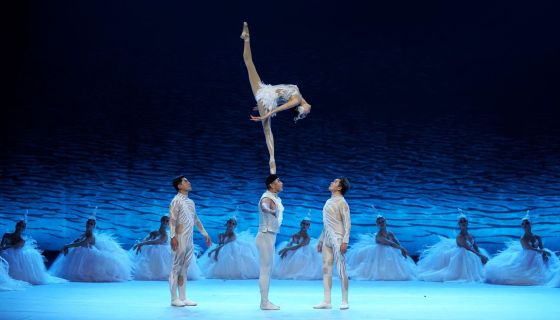 Спектакль «Лебедь»