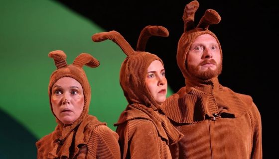 Спектакль «Новые приключения Петсона и Финдуса»