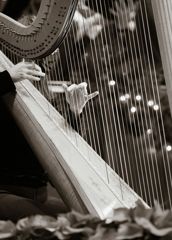 Класс арфы Надежды Сергеевой