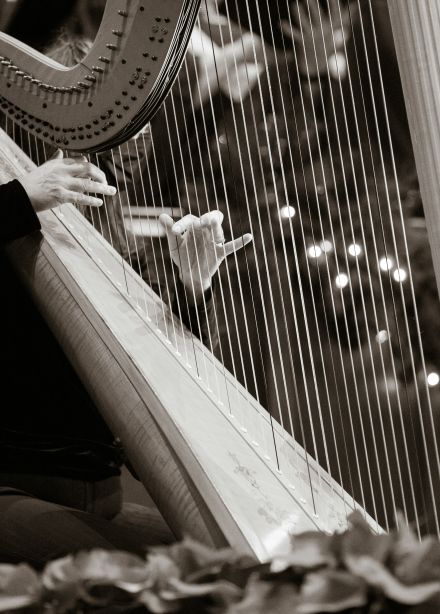 Класс арфы Надежды Сергеевой