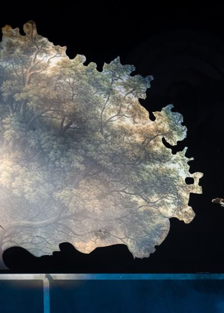 Синяя птица