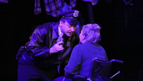 Спектакль «Дорогая Памела, или Как пришить старушку»