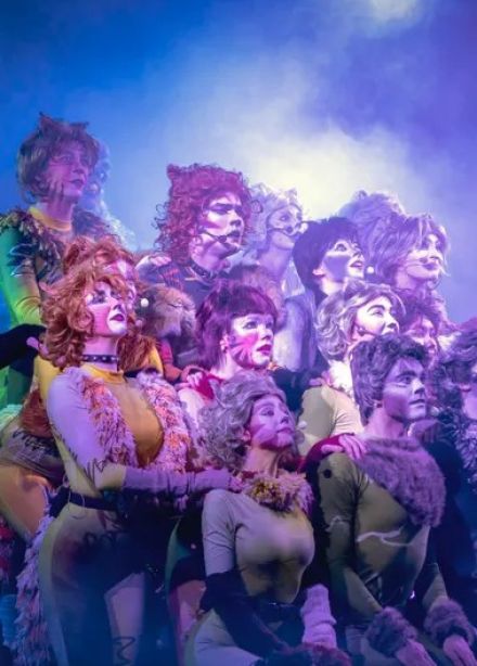 Мюзикл-шоу «Кошки»