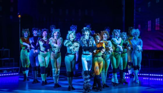 Мюзикл-шоу «Кошки»