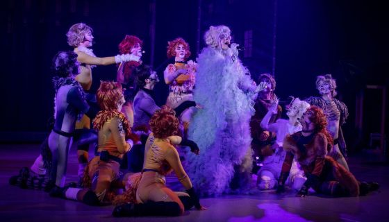 Мюзикл-шоу «Кошки»