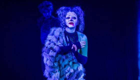 Мюзикл-шоу «Кошки»