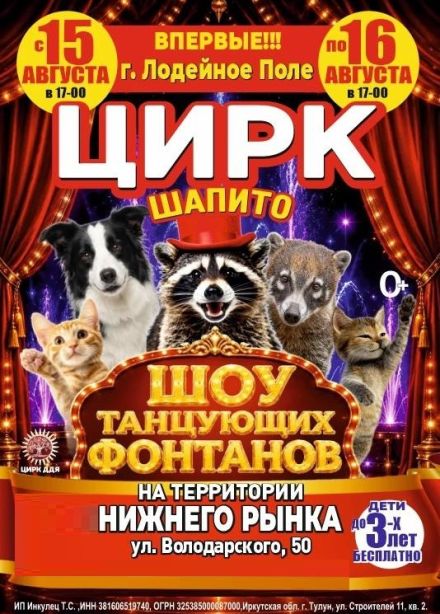 Цирк-шапито «Долины Диких Яблонь», Лодейное поле