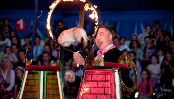 Цирк-шапито «Долины Диких Яблонь», Пушкин