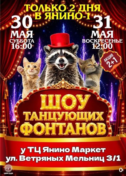 Цирк-шапито «Долины Диких Яблонь», Янино-1