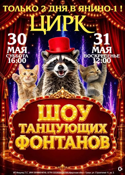 Цирк-шапито «Долины Диких Яблонь», Янино-1