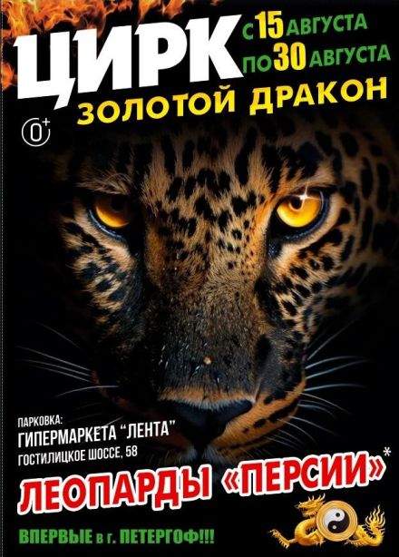 Цирк «Золотой Дракон», Петергоф
