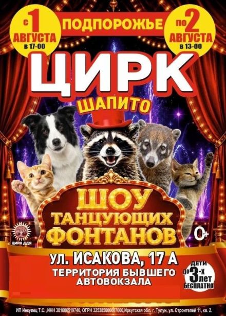 Цирк-шапито «Долины Диких Яблонь», Подпорожье