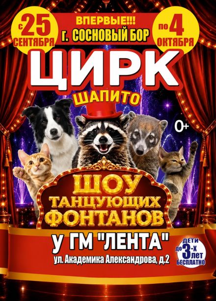 Цирк-шапито «Долины Диких Яблонь», Сосновый Бор